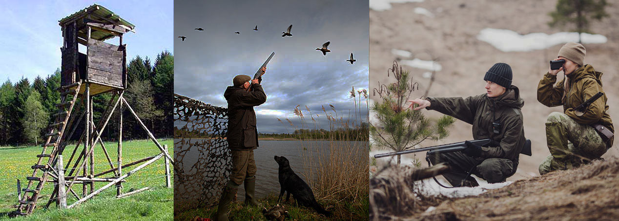 Top-Leistungen in der Jagdhaftpflicht